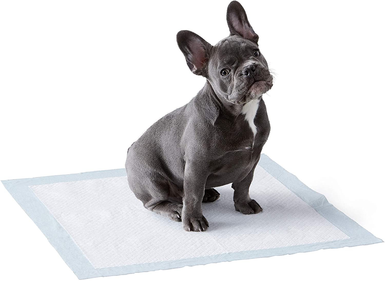 pupy-pads.jpg
